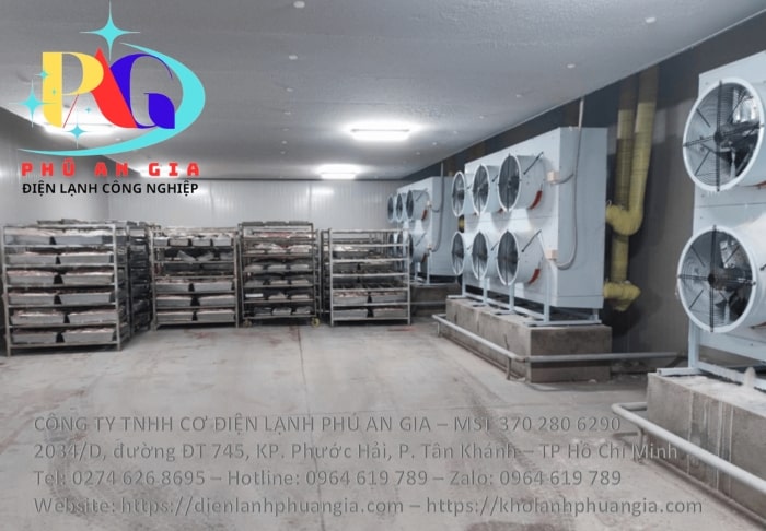 lap dat sua chua kho lanh